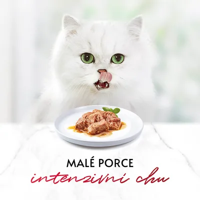 Porce masových kousků v omáčce na bílém talíři, pod nimi text: MALÉ PORCE intenzivní chuť.