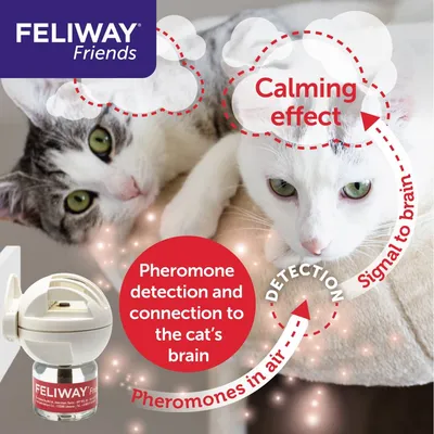 Feliway Friends product image showing a diffuser and text: 'Calming', 'Pheromone detection and connection to the cat’s brain', and 'Pheromones in air'.