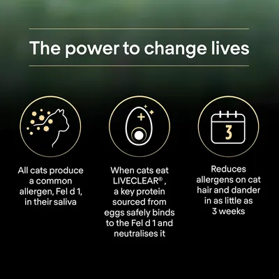All cats produce Fel d 1 allergen in saliva. When cats eat LIVECLEAR, a protein from eggs binds to Fel d 1 and neutralises it, reducing allergens on hair and dander in as little as 3 weeks.
