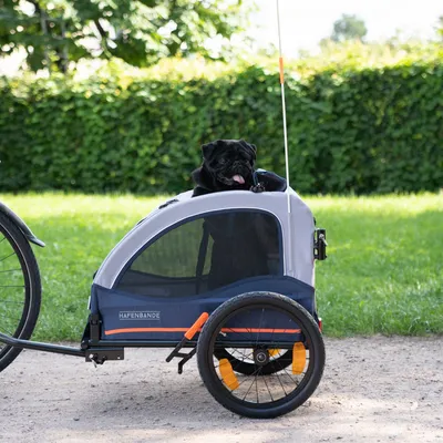 Przyczepka rowerowa Hafenbande z oknem z siatki, odpowiednia dla zwierząt domowych. Czarny pies siedzi w przyczepce przymocowanej do roweru. Otoczenie na zewnątrz z zielonym tłem.