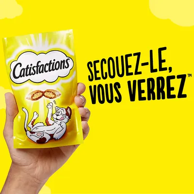 Paquet de friandises Catisfactions tenu en main, texte visible : Secouez-le, vous verrez