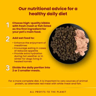 Our nutritional advice for a healthy daily diet: choose high-quality kibble, add wet food for hydration and enjoyment, divide portions into 2 or 3 meals. All profits to the planet.