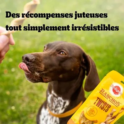 Des récompenses juteuses tout simplement irrésistibles. Pedigree Ranchos Twists 100 % ingrédients naturels visible sur l’emballage.