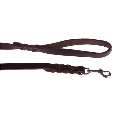 Laisse pour chien en cuir marron avec poignée tressée et mousqueton métallique argenté visible à l’extrémité.