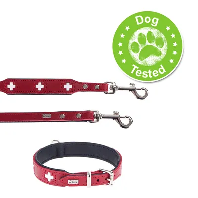 Rødt hundehalsbånd og line i læder med hvide kors, metalspænder og mærketekst 'Hunter'. Grøn badge med teksten 'Dog Tested' og poteaftryk.