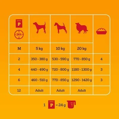 Pedigree Junior Maaltijdzakjes in Gelei Hondenvoer