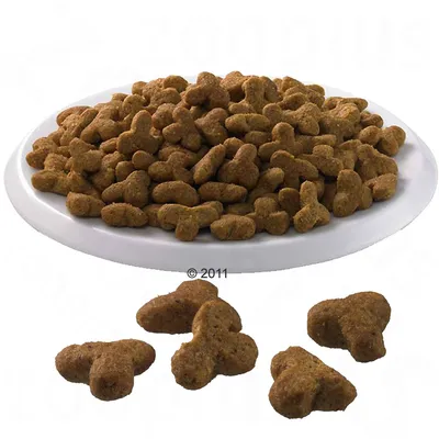 Purina ONE Sensitive