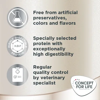 Concept for Life Labrador Retriever Adult