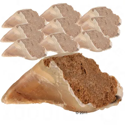 Filled cow hooves with brown filling, several pieces visible. Snack for pets.