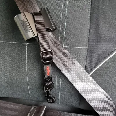Schwarzer Sicherheitsgurtadapter von dogogo mit verstellbarem Nylonband und Metallkarabinerhaken, befestigt an einem Autosicherheitsgurt.