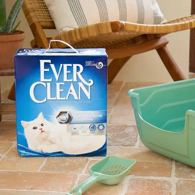 Ever Clean kattenbakvulling verpakking naast groene kattenbak en schep. Verpakking toont witte kat, merknaam en pictogrammen voor producteigenschappen.