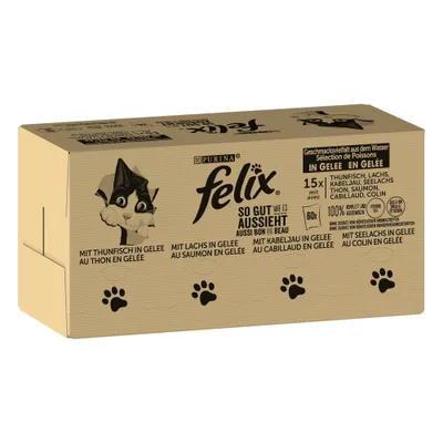Purina Felix So Gut Wie Es Aussieht cat food, selection of fish in jelly. 15x with tuna, salmon, cod, coley. 60x total. Text in German and French visible on packaging.