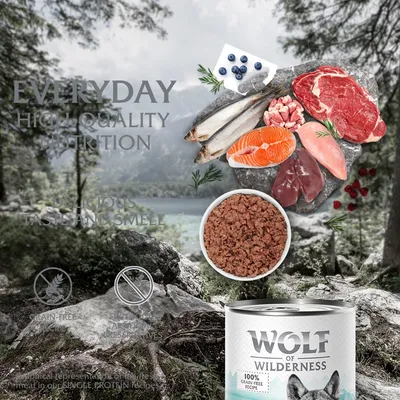 Image showing raw meat, fish, berries and a bowl of wet food with text: everyday high quality nutrition, delicious taste and smell, grain-free recipe, no artificial additives.