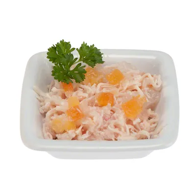 Porcja mokrej karmy dla zwierząt w białej miseczce, widoczne kawałki mięsa i pomarańczowe kostki, dekoracja z natki pietruszki na wierzchu.