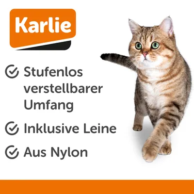 Transportset: Transportboxen + Kuscheldecke + Geschirr