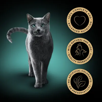 100% complete and balanced nutrition, with natural and high quality ingredients, no artificial colorants or preservatives. Three circular badges beside a grey cat.