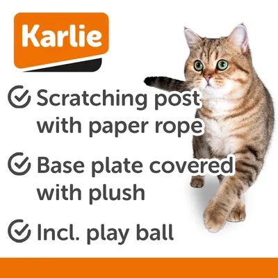 Karlie Bolly Scratching Ball