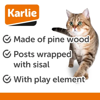 Karlie Liva Scratching Post Karlie Liva Scratching Post