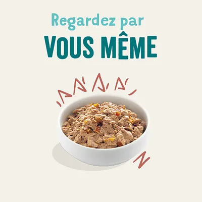 Regardez par VOUS MÊME. Bol blanc rempli de pâtée pour animaux, morceaux visibles de différentes couleurs.