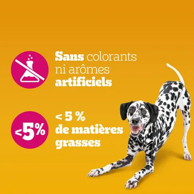 Pedigree Multivitamins Entretien des articulations pour chien