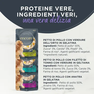 Provalo! Set misto Encore in Gelatina Alimento umido per cani