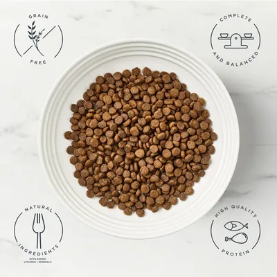 Encore Cat Chicken with Salmon