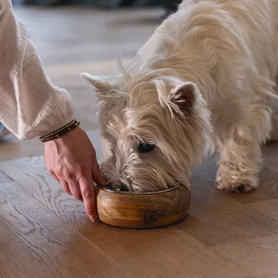 Designed by Lotte Holz- & Edelstahlnapf Mandira