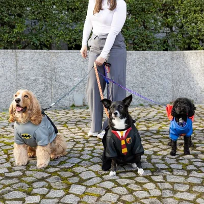 Warner Bros™ DC costume da cane Batman