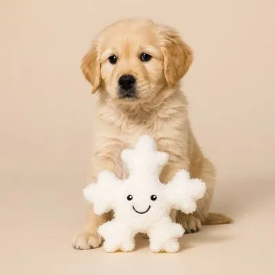 Gioco per cani TIAKI Fiocco di neve Gioco per cani TIAKI Fiocco di neve