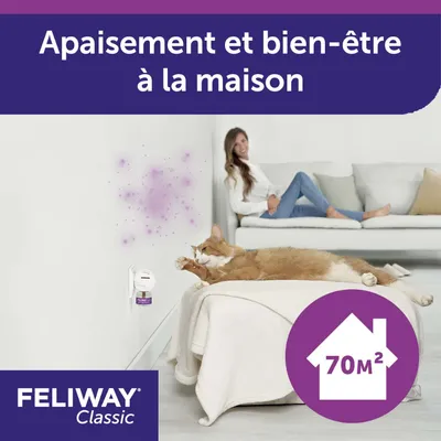 Diffuseur Feliway Classic branché, chat allongé sur un pouf, texte : Apaisement et bien-être à la maison, logo maison 70 m². Marque Feliway Classic visible.