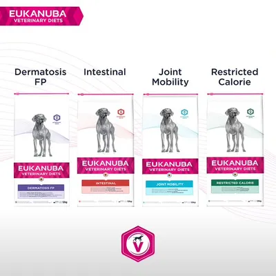 Quatro embalagens Eukanuba Veterinary Diets para cães: Dermatosis FP, Intestinal, Joint Mobility e Restricted Calorie. Cada embalagem mostra um cão e o nome da variedade.
