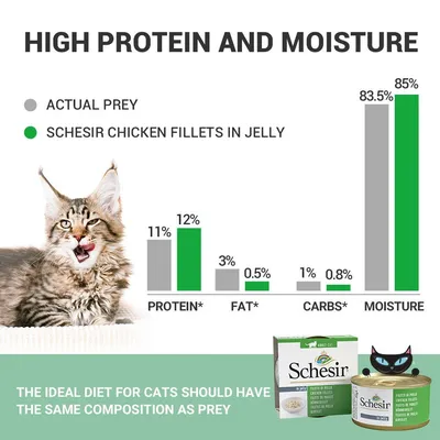 Vergelijkingstabel: Schesir Chicken Fillets in Jelly vs. prooi, eiwit 12%/11%, vet 0,5%/3%, koolhydraten 0,8%/1%, vocht 85%/83,5%. Verpakking Schesir zichtbaar.