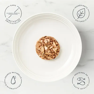 Lot mixte Encore en gelée 20 x 50 g sachets pour chat