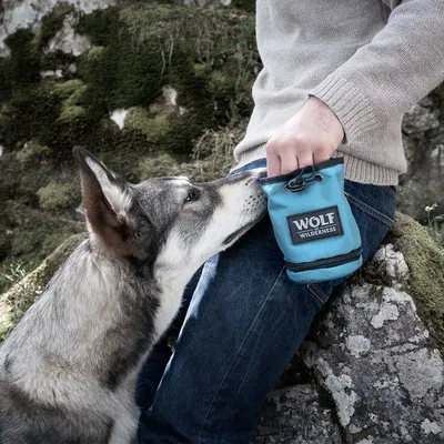 Hund ved person med blå godbidstaske med teksten WOLF WILDERNESS, personen tager godbid op af tasken udendørs.