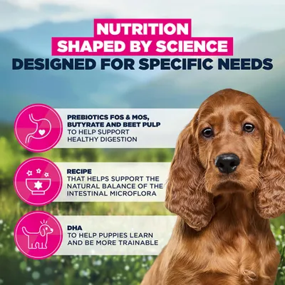 Eukanuba Special Care Sensitive Digestion Puppy kana ja kalkkuna
