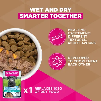 Eukanuba Grain Free Adult Large & Giant karitsa