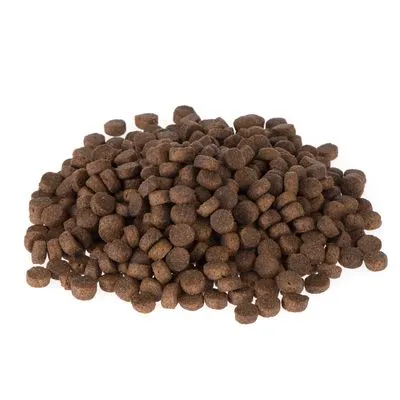 Briantos Junior Hondenvoer