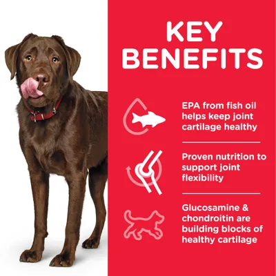 Teksti englanniksi: EPA from fish oil helps keep joint cartilage healthy, Proven nutrition to support joint flexibility, Glucosamine & chondroitin are building blocks of healthy cartilage.