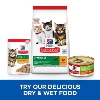 Hill's Science Plan kitten food range showing dry and wet options with chicken, plus text: Try our delicious dry & wet food.