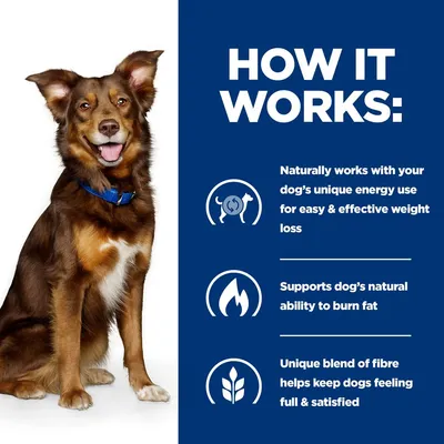HOW IT WORKS: Naturally works with your dog's unique energy use for easy & effective weight loss. Supports dog's natural ability to burn fat. Unique blend of fibre helps keep dogs feeling full & satisfied. Az angol szöveg a képen szerepel.
