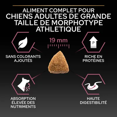 Aliment complet pour chiens adultes de grande taille morphotype athlétique, croquette 19 mm, sans colorants ajoutés, riche en protéines, absorption élevée des nutriments, haute digestibilité.