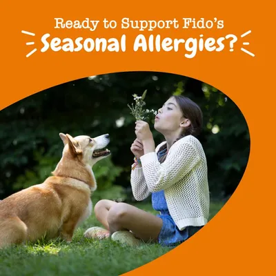 Text reads: Ready to support Fido’s seasonal allergies? Image shows a person holding flowers outdoors with a dog looking up at them.