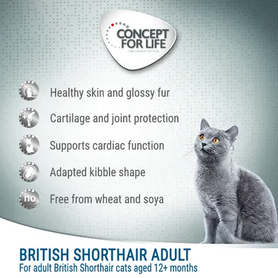 Concept for Life British Shorthair Adult (Ragout-kvalitet)
