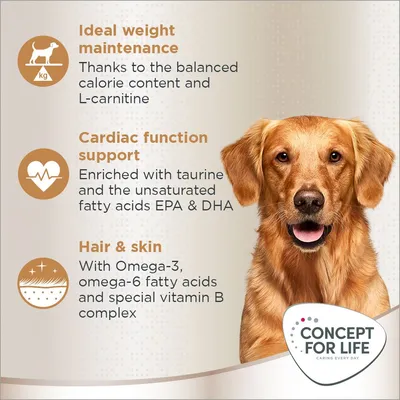 Concept for Life Golden Retriever Adult
