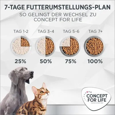 7-Tage Futterumstellungs-Plan für Concept for Life: Tag 1-2 25%, Tag 3-4 50%, Tag 5-6 75%, Tag 7+ 100%. Hund und Katze abgebildet. Logo von Concept for Life unten rechts.