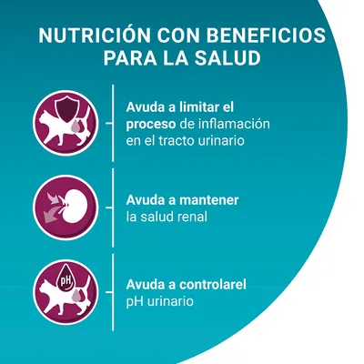 Nutrición con beneficios para la salud: ayuda a limitar el proceso de inflamación en el tracto urinario, mantener la salud renal y controlar el pH urinario.