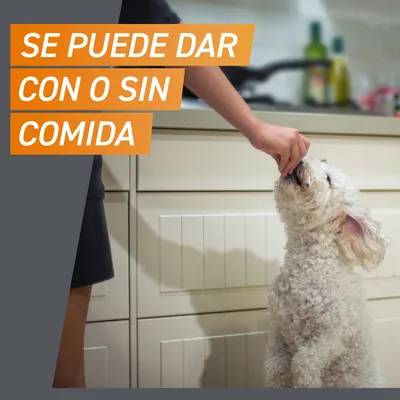 Un perro es alimentado por una mano. Texto: "Se puede administrar con o sin comida."