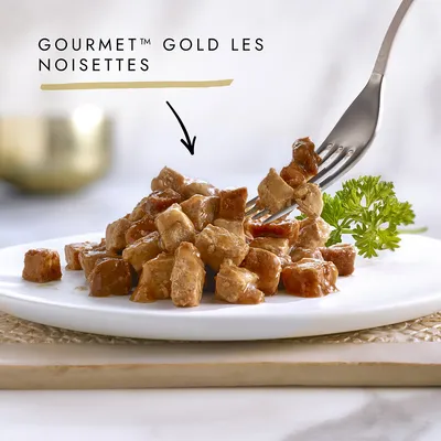 Assiette de bouchées en sauce avec fourchette, texte visible : GOURMET™ GOLD LES NOISETTES