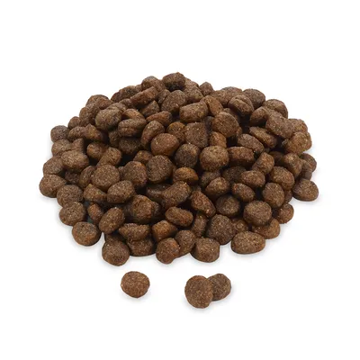 Croquettes brunes en forme de petits cylindres, présentées en tas sur fond blanc. Aucun emballage ou marque visible.