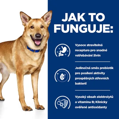 Jak to funguje: Vysoce stravitelná receptura, jedinečná směs prebiotik, vysoký obsah elektrolytů a vitamínu B; klinicky ověřené antioxidanty. Vedle stojí pes.